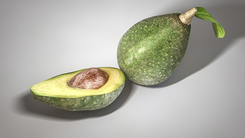 Avocado 3D Model
