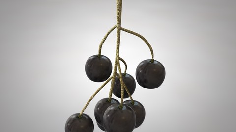 Black currant 3D Model