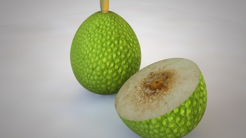 Breadfruit 3D Model