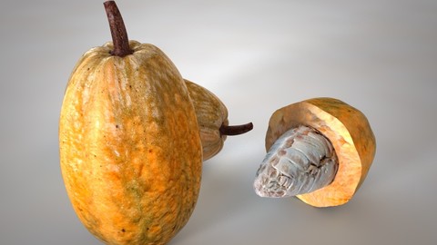 Cocoa fruit 3D Model