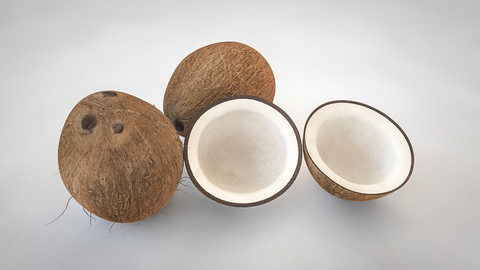 Coconut Inner 3D Model