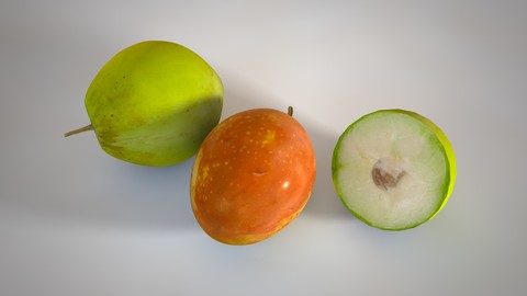 Jujube 3D Model