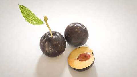 Plum 3D Model