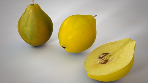 Quince 3D Model