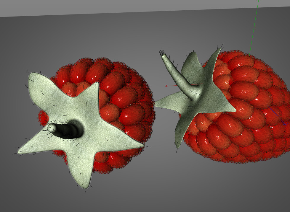 Raspberry 3d model