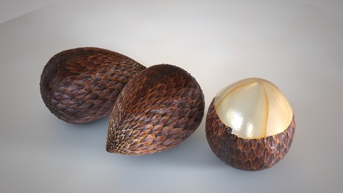 Salak 3D Model