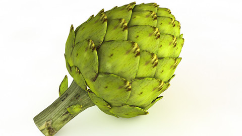 Artichoke 3D Model