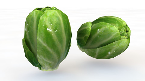 Brussels Sprouts 3D Model