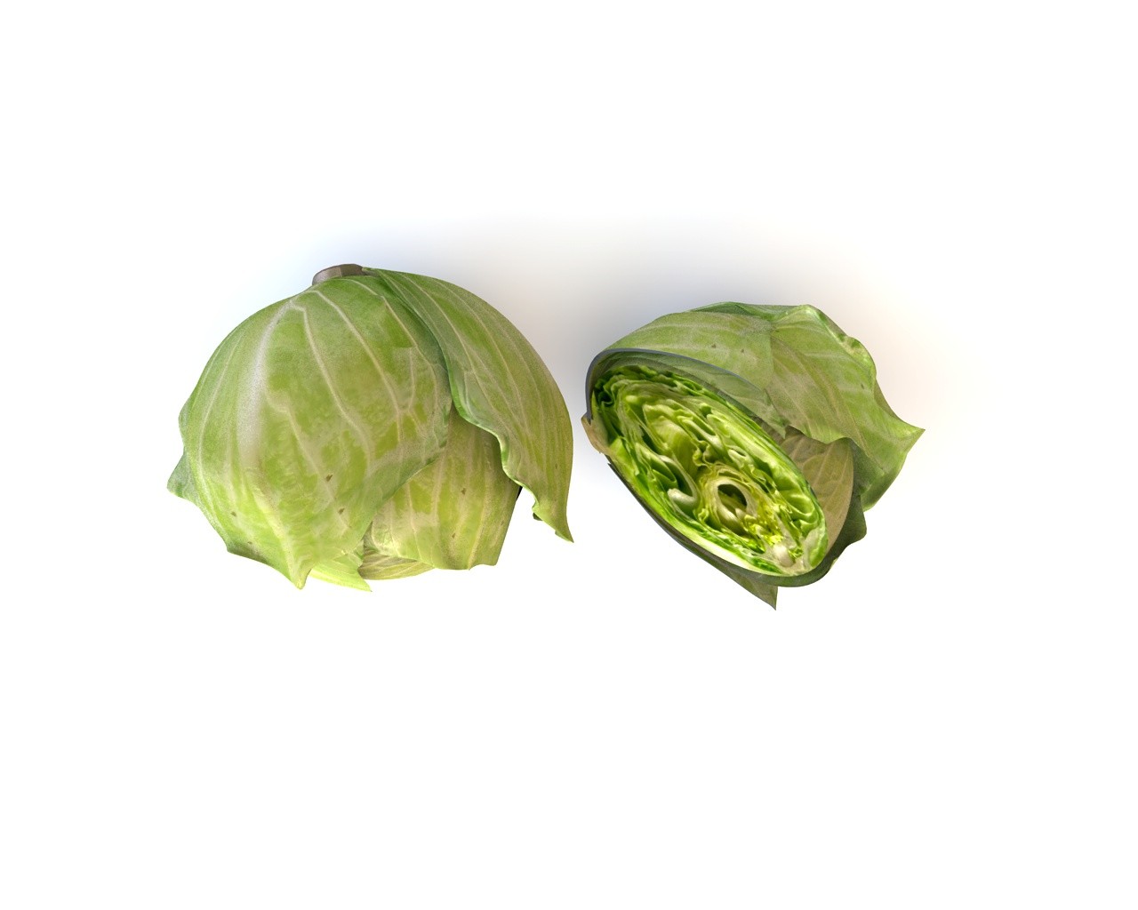 Cabbage half : 22 819 images, photos de stock, objets 3D et images  vectorielles