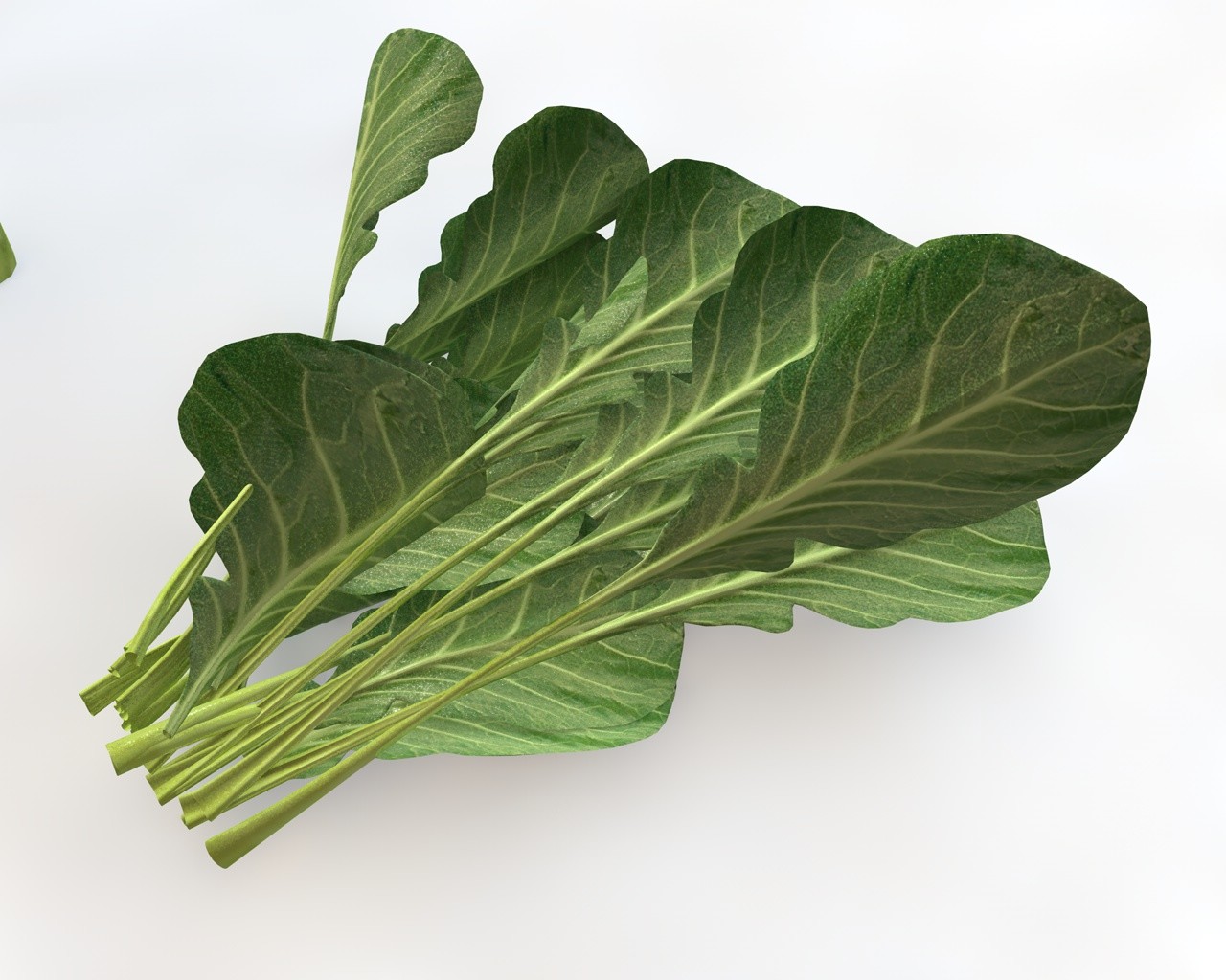 Collard Greens. Vegetables 3d models. Collard. Collard Greens перевод.