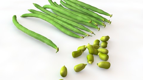 French beans 3D Model
