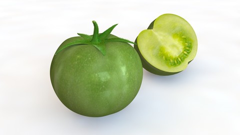Green Tomato 3D Model