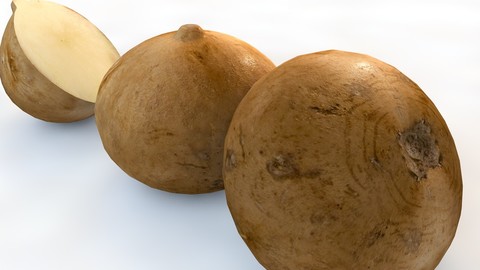 Jicama 3D Model