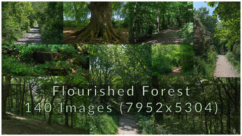 Flourished Forest Photopack - 140 images