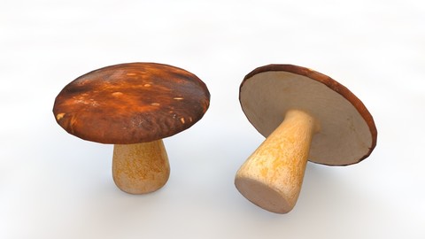 Mushrooms brown 3D Model