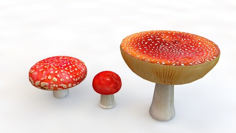 Mushrooms red 3D Model