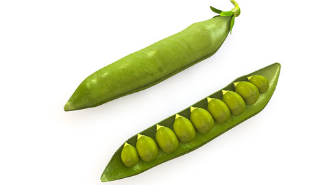 Peas 3D Model