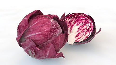 Radicchio Rounded 3D Model