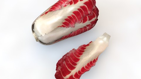 Radicchio Taller 3D Model