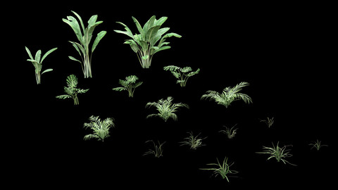 Tropical Plants Pack