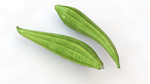 Ridge Gourd 3D Model