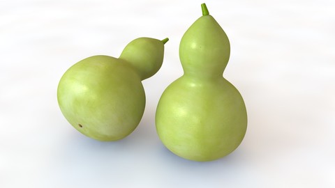 Round neck gourd 3D Model
