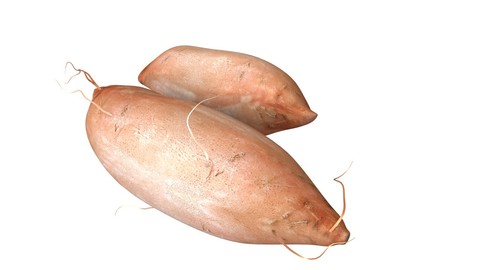 Sweet Potato Brown 3D Model