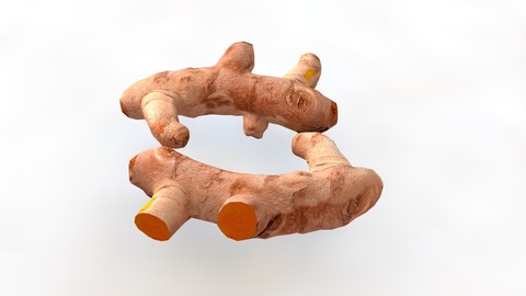 Turmeric root 3D Model