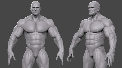 Muscular Male Basemesh