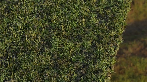 Grass & Nature Pack