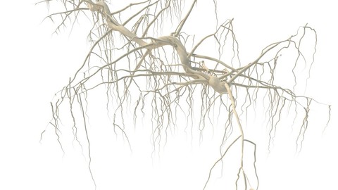 Tendril 3D Model