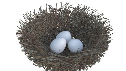 Nest 3D Model