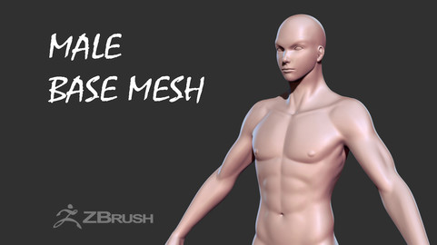 Male Basemesh