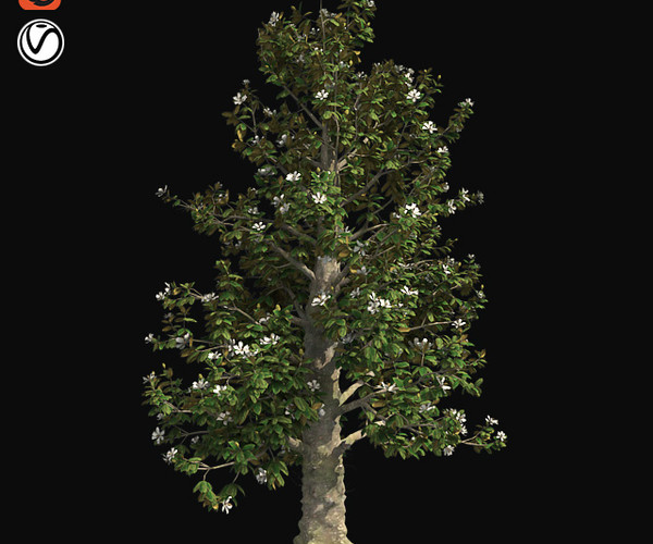 ArtStation - Tree Collection Vol 002 (32 Trees) | Resources