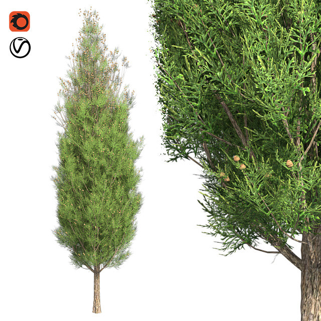 ArtStation - Tree Collection Vol 003 (30 Trees) | Resources