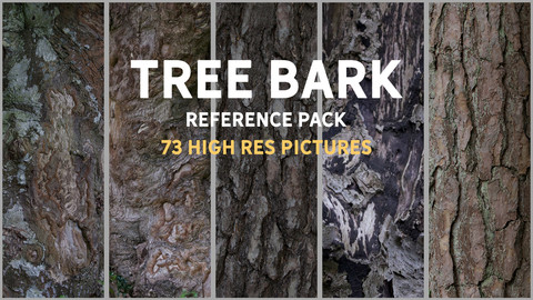 Tree bark reference