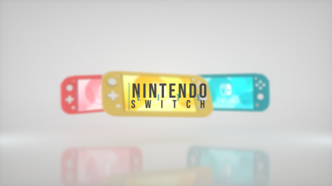 [ Nintendo Switch Lite ]