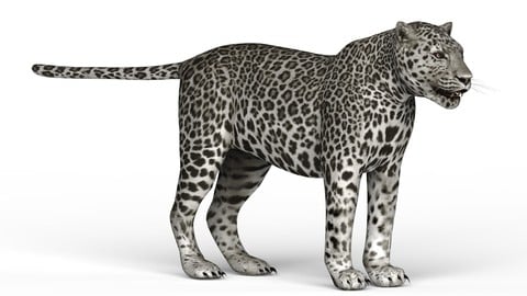 Snow Jaguar 3D Model