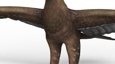 Eagle 3D Model