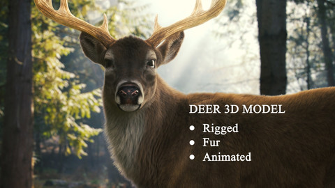 Deer 3D Model Rigged Fur