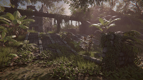 Tropical Plants Package