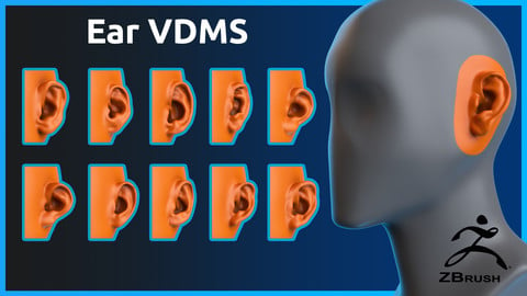 Zbrush - Ear- VDM Brushes