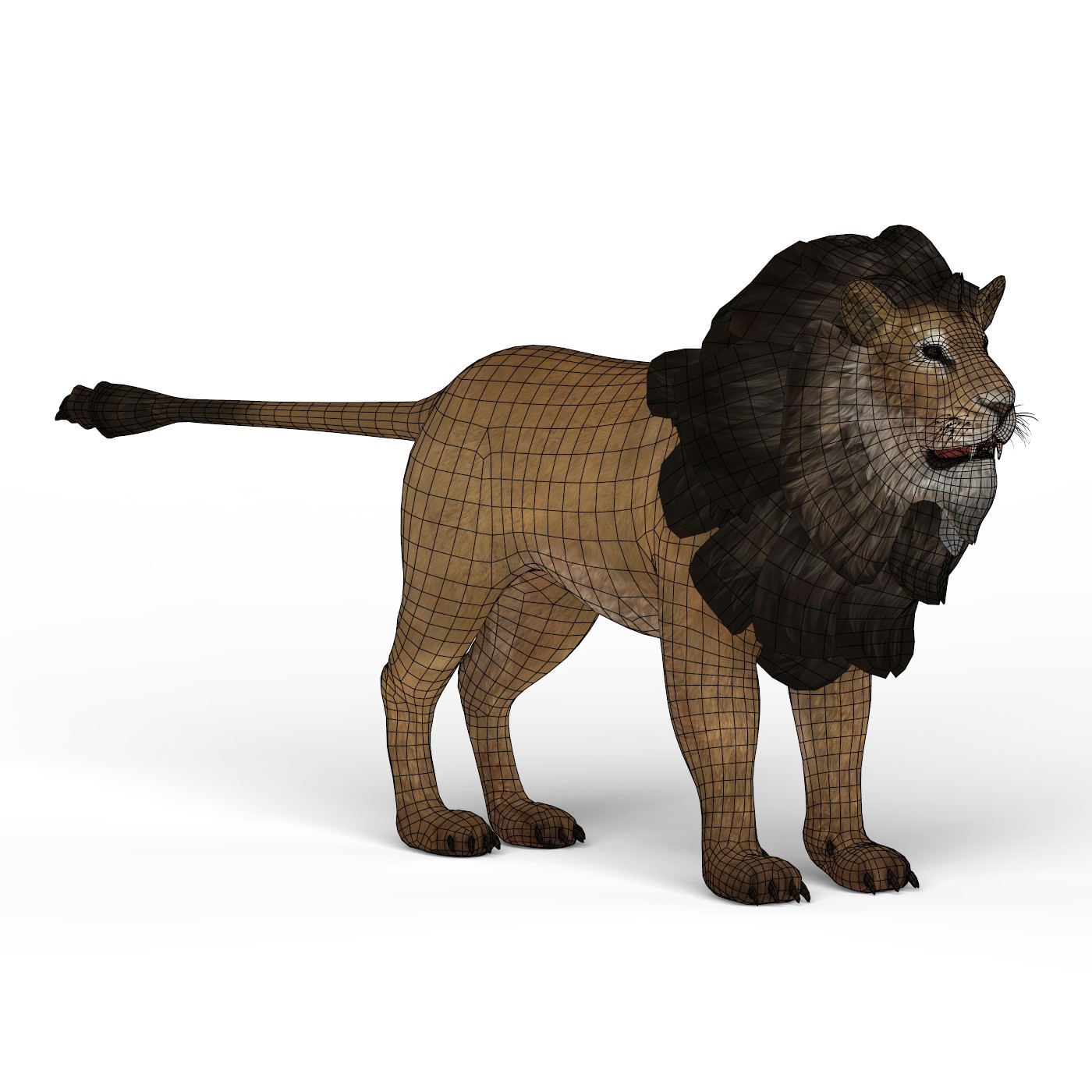 Поли лев. 3d модель Low Poly Lion. Кружка Low Poly Lion (Лев). Википедия животные 3d. Свитшот Low Poly Lion (Лев).