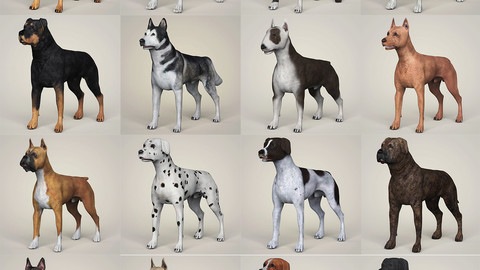 Realistic 3D Dog Collection