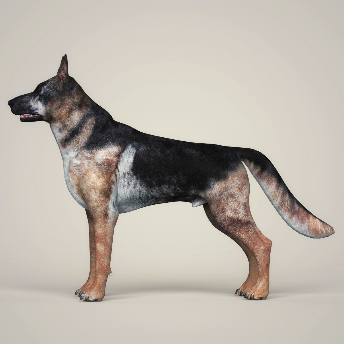 ArtStation Realistic 3D Dog Collection Resources
