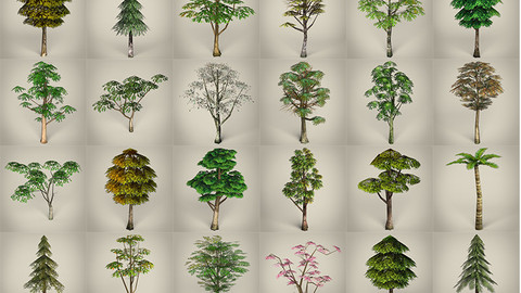 3D Game Ready Tree Collection