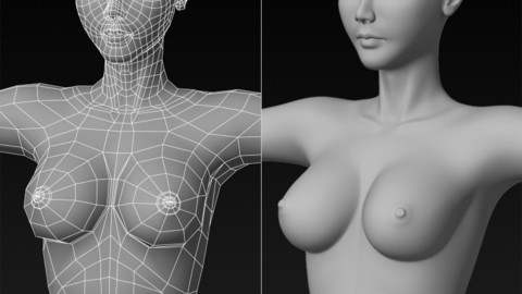 3D Female Base Mesh