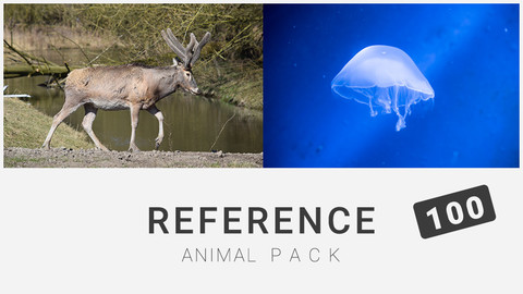 Reference: Animal Pack 100