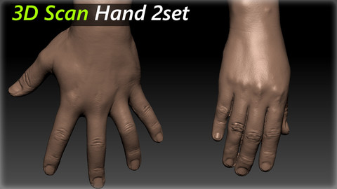 3D Scan Hand Modeling_ 2set