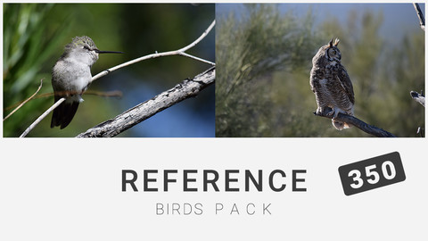Reference: Birds Pack 350